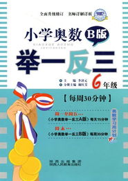 小学奥数举一反三·六年级B版·钻石版 广告业务视角下的视觉营销商品图库构建策略