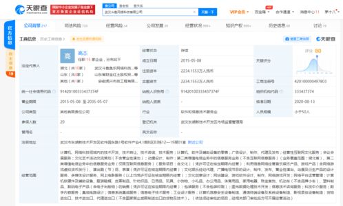 斗鱼关联公司遭武汉文旅局行政处罚一万元 广告业务不合规警示行业监管新动向