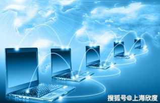 文网文在企业经营中的作用及办理指南